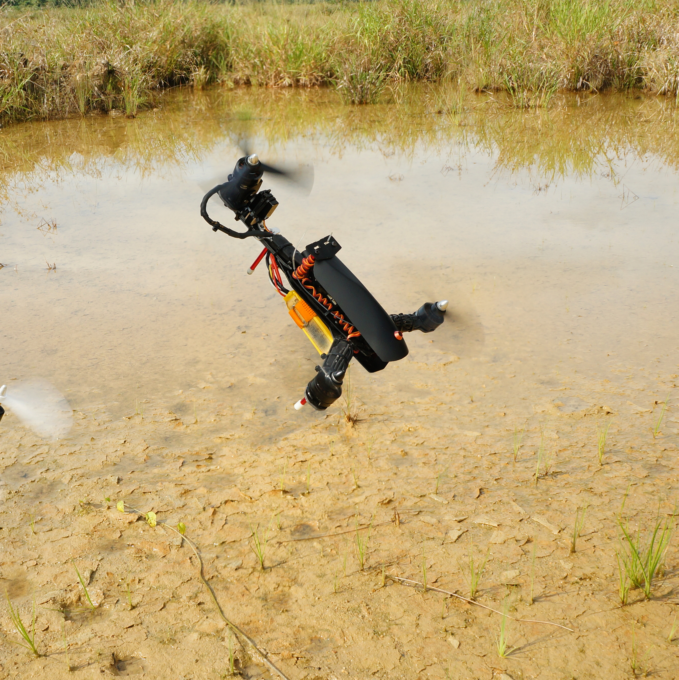DIY Tricopter racing above the wet land