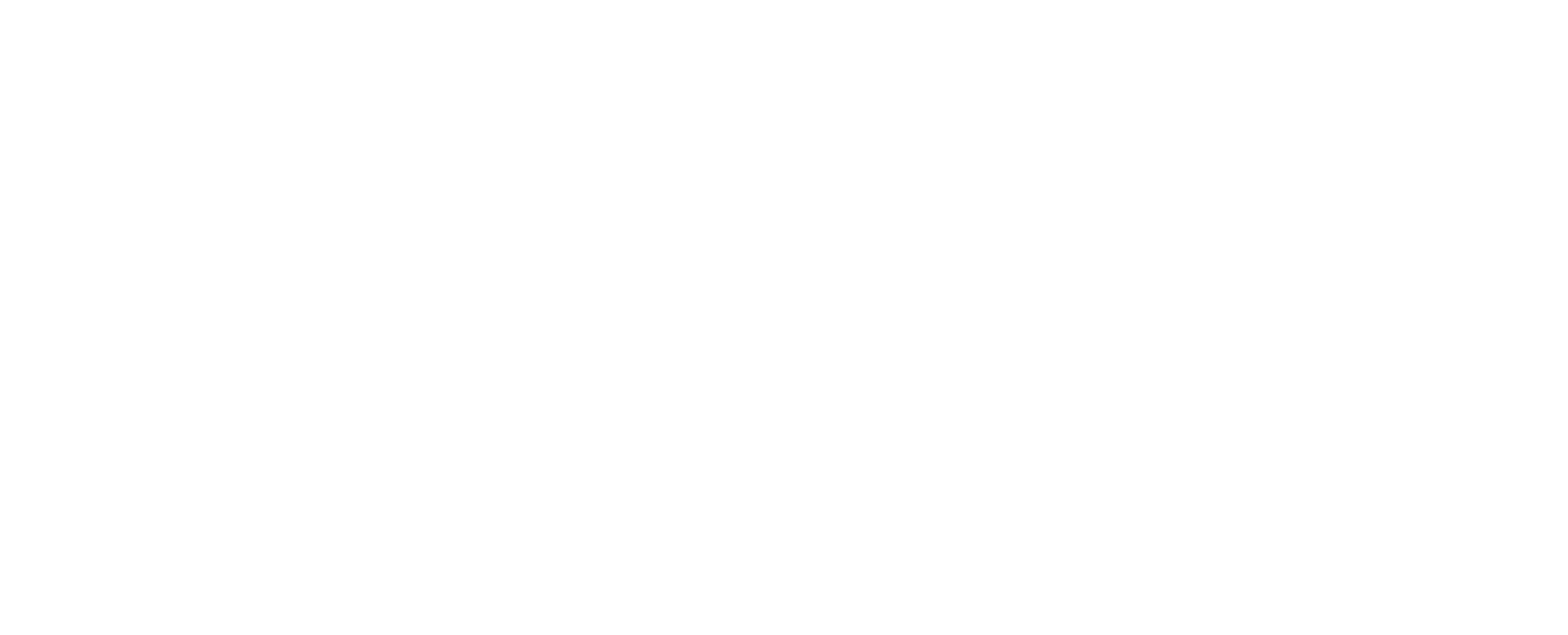 DQ Copter Solutions logo